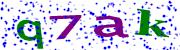 کد امنیتی